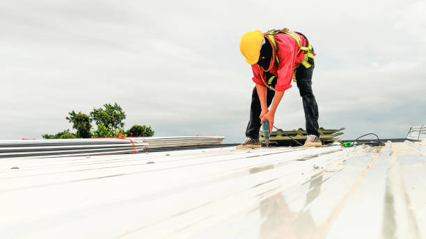 Best Roof Maintenance and Cleaning  in Athens, MI